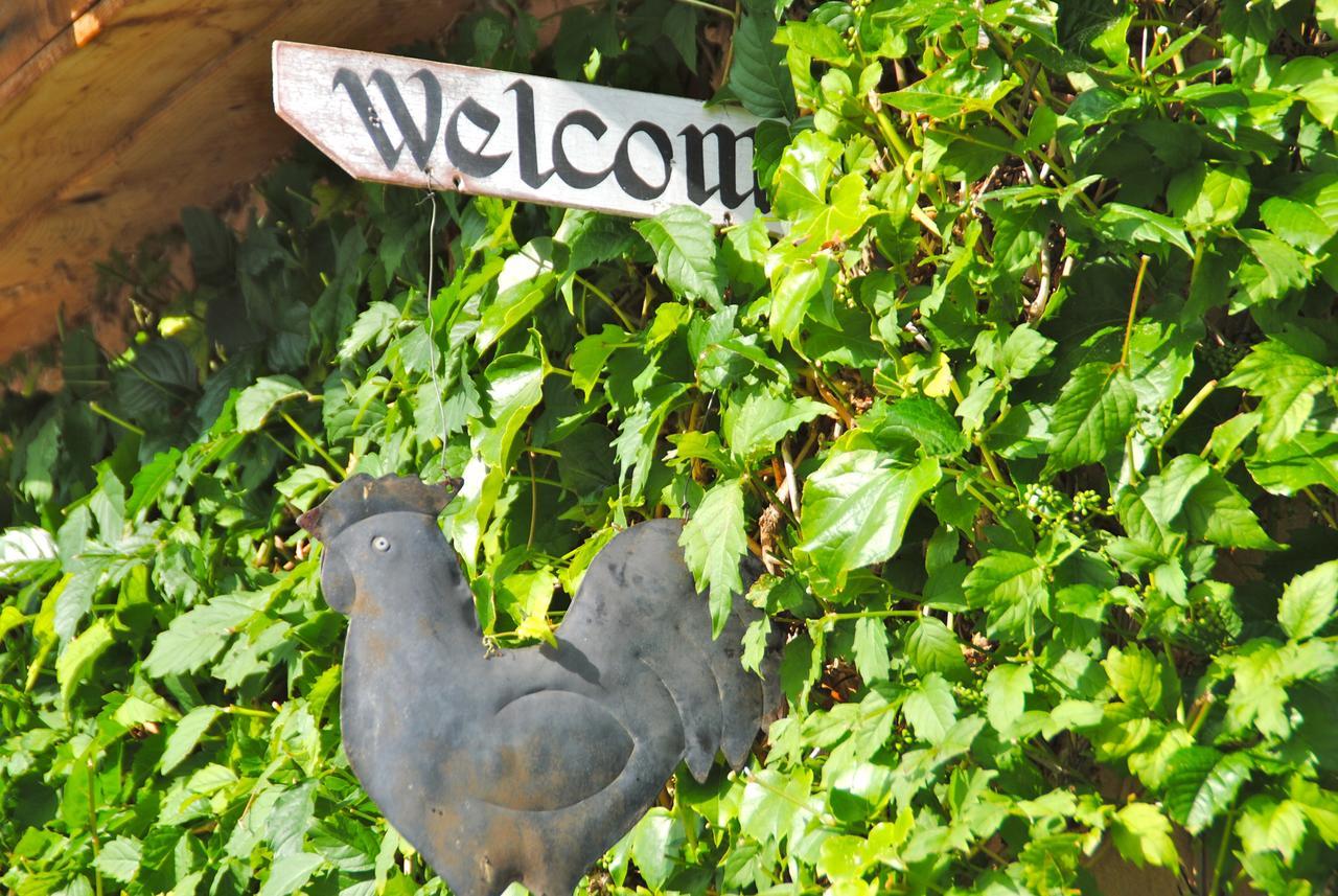 B&B La Badelle Gordes Eksteriør bilde
