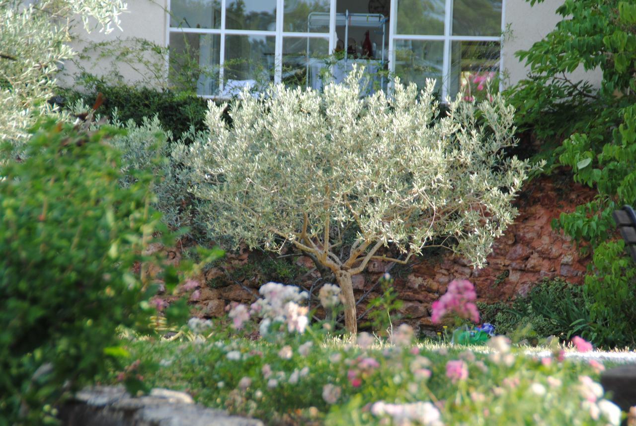 B&B La Badelle Gordes Eksteriør bilde